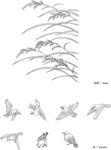 线描稻子麻雀矢量EPS