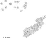 线描红叶矢量EPS