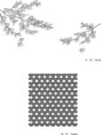 线描红叶矢量EPS