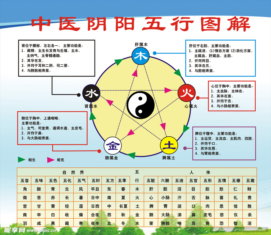 中医阴阳五行图解