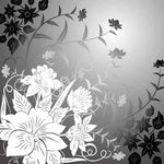 花纹