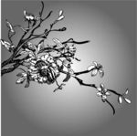 花纹