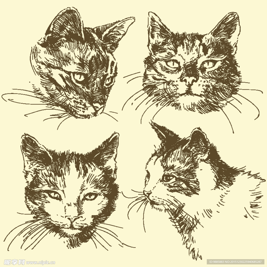 手绘猫
