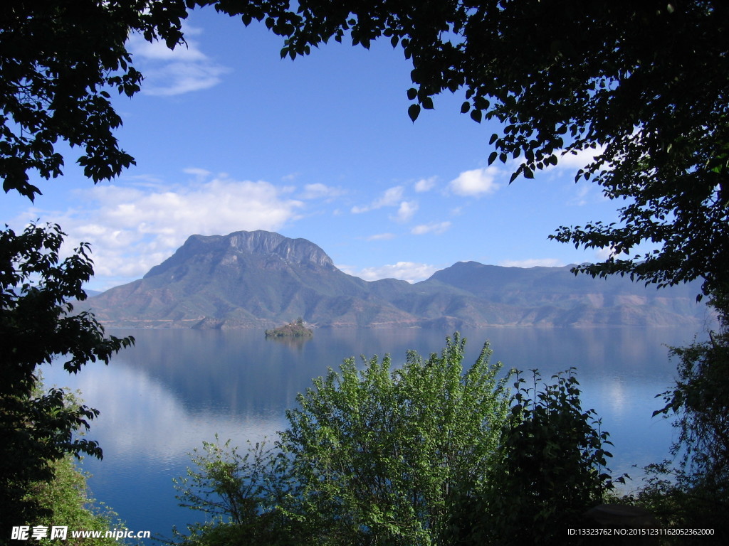 森林