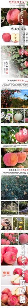 苹果红富士详情页
