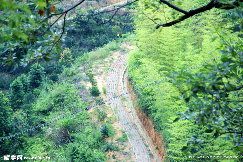 茶山