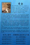 名人简介