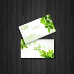 绿色名片