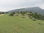 嵩山草甸风景