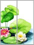 花纹移门