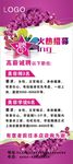 美容招聘海报