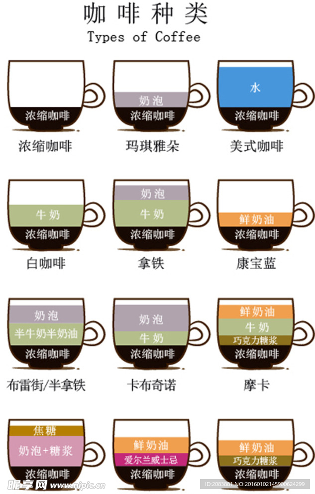 矢量咖啡成分比例种类图解