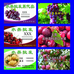 水果批发名片