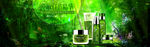 化妆品banner