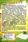 诚信考试倡议书
