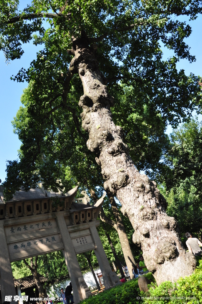 天平山风光