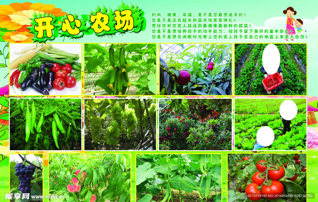 开心农场