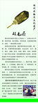 羽毛扇