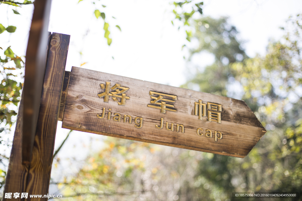 肇庆北岭山森林公园