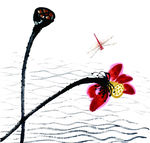 水墨 小品  荷花 蜻蜓