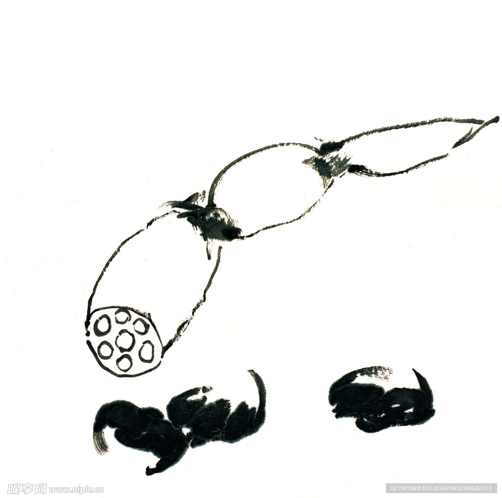 水墨 小品 莲藕