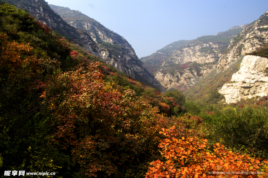 崛围山风景