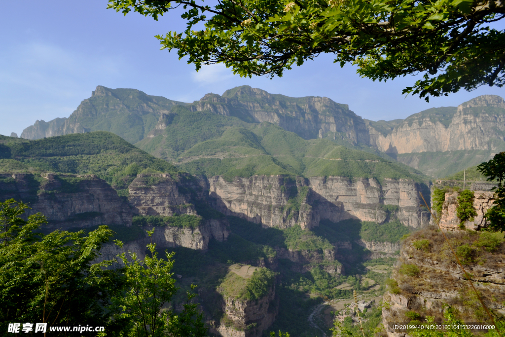 青山