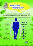狂犬病的传播途径