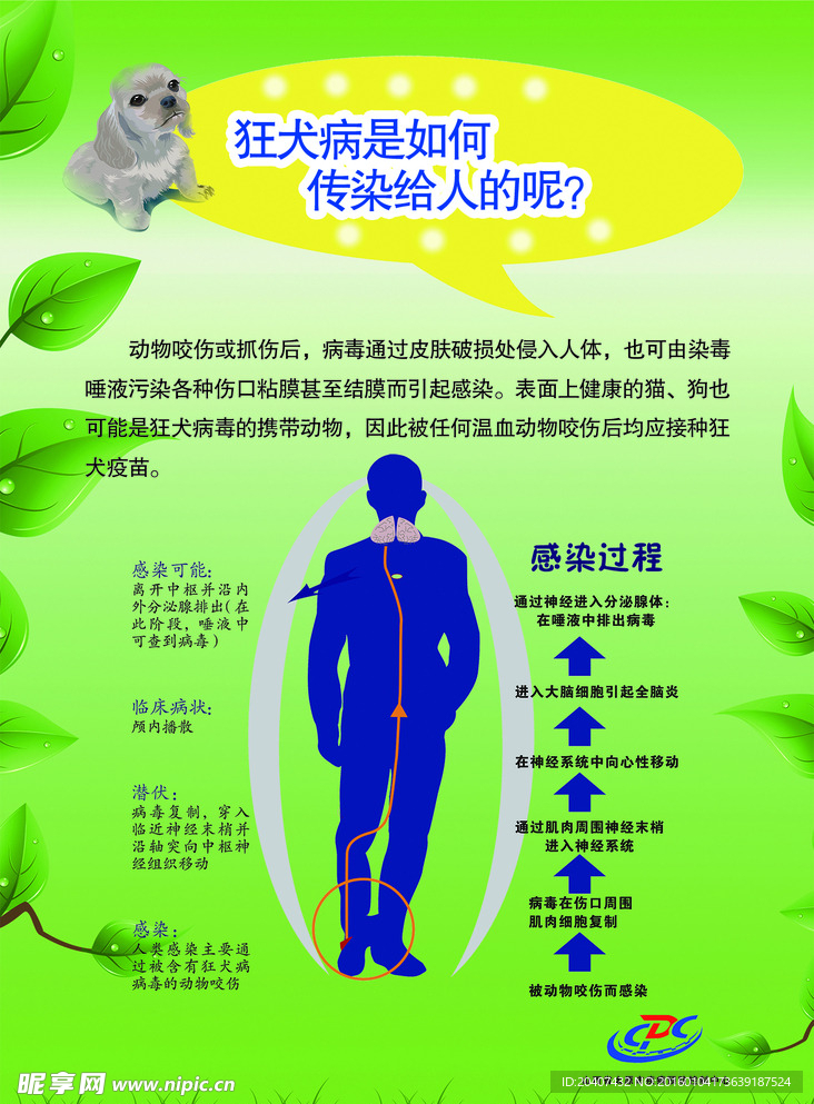 狂犬病的传播途径