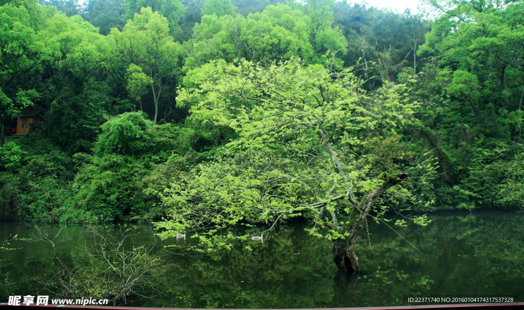 逍遥湖