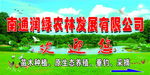 润绿