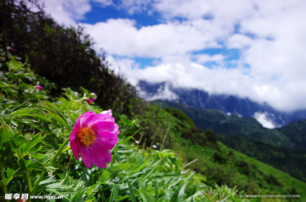 龙门山风光