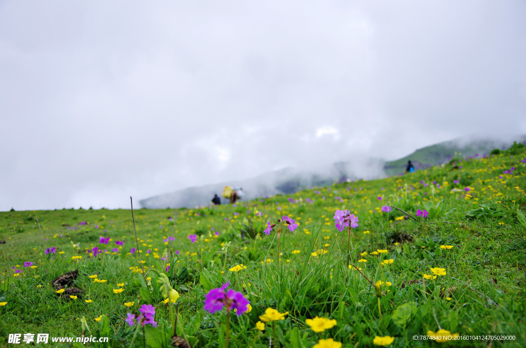 龙门山风光