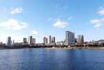大连星海湾公园海滨风景