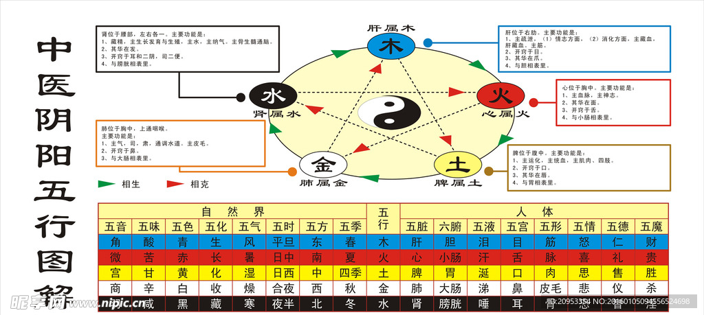 中医阴阳五行图解