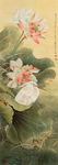 高清 中式 国画 荷花