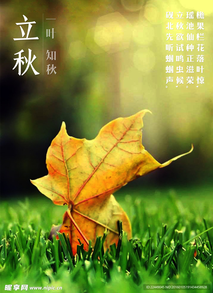 立秋