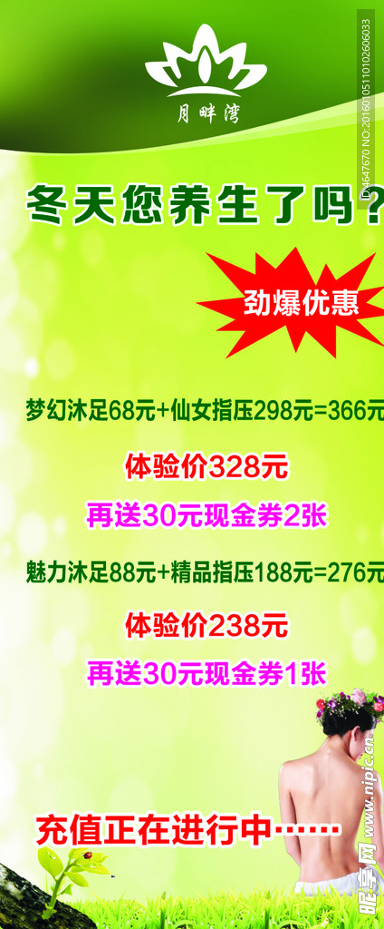 绿色养生X展架 海报
