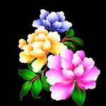 手绘玫瑰花