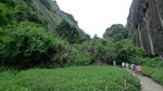 福建武夷山茶园