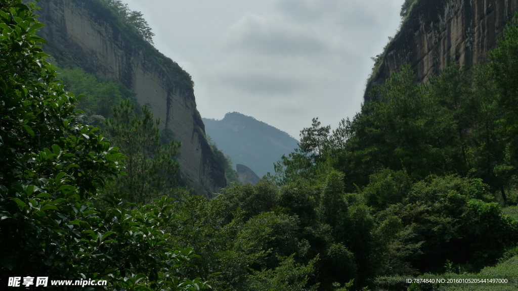 福建武夷山