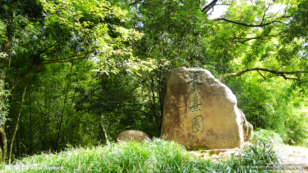 福建武夷山