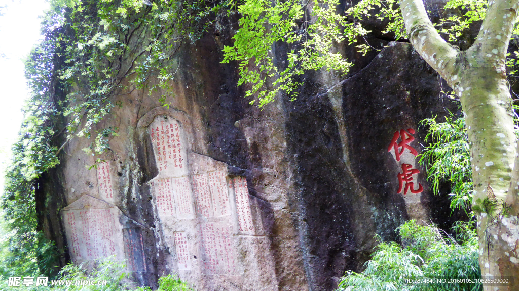 福建武夷山
