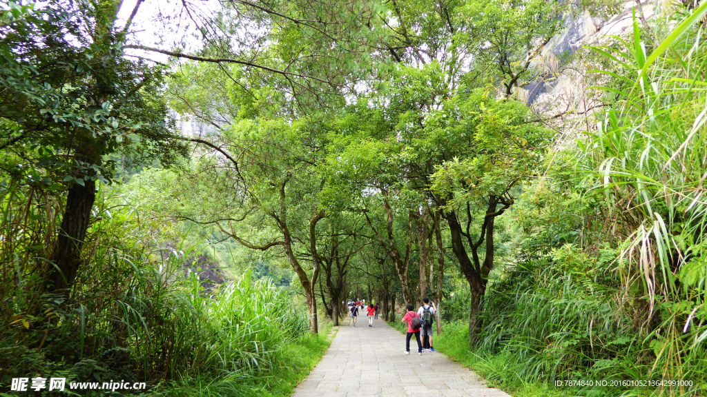 福建武夷山