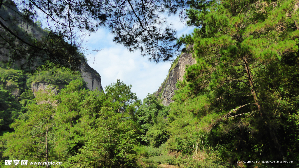 福建武夷山