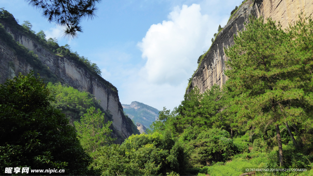 福建武夷山