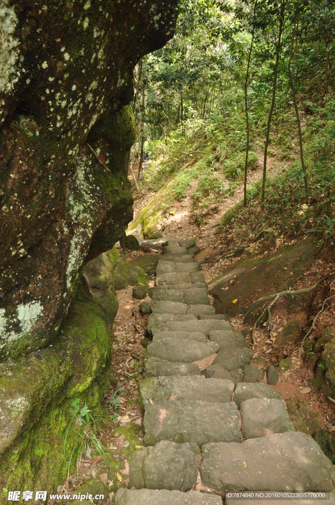福建武夷山