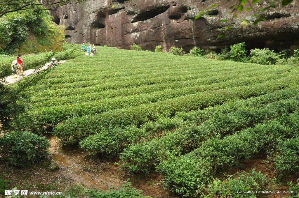 福建武夷山