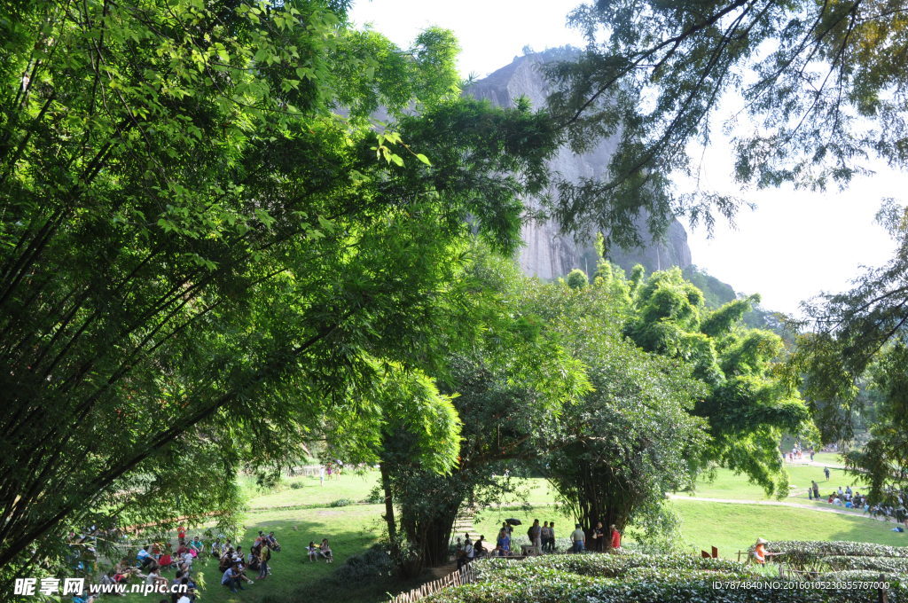福建武夷山