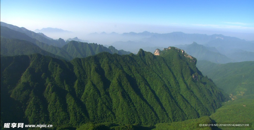 神农架之夏 万山滴翠